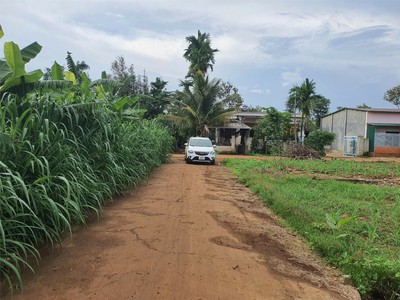 Đất đẹp   giá tốt    chính chủ cần bán tại đường bê tông, xã ea tiêu, cư kuin, đắk lắk 3