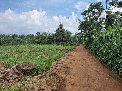 Đất đẹp   giá tốt    chính chủ cần bán tại đường bê tông, xã ea tiêu, cư kuin, đắk lắk 4