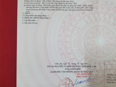 Đất đẹp   giá tốt    chính chủ cần bán tại đường bê tông, xã ea tiêu, cư kuin, đắk lắk 0