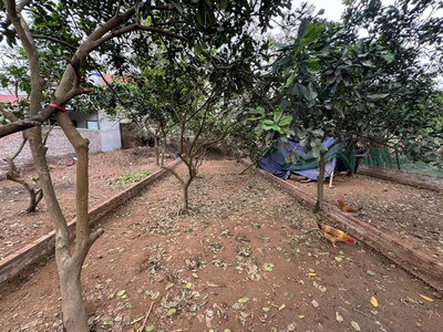 Đất vàng quang minh, sát khu công nghiệp và đường võ văn kiệt. dt 98m, giá 4,65 tỷ 2