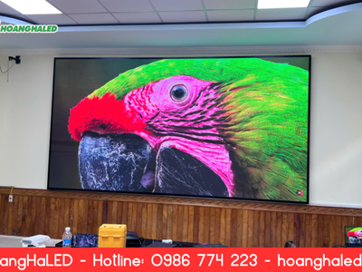 Lắp Đặt Màn Hình LED Uỷ Ban Phường Lê Chân   Hải Phòng 0