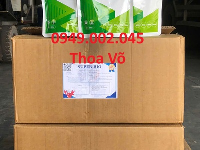 SUPER BIO   Vi Sinh Hỗ Trợ Đường Ruột, Tăng Cường Hệ Đệm Vi Sinh, Xử Lý Nước   Gây Màu Ao Nuôi 0