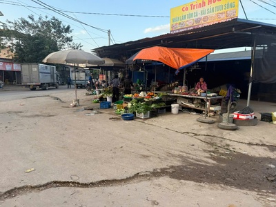 Giá 830 tr diện tích 100 m fun thổ cư - sổ đỏ sẫn sàng công chứng  cam kết pháp lý chuẩn rõ ràng 3