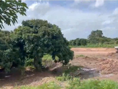 Chính chủ bán đất Châu Thành, Đồng Tháp - Diện tích: 4242m2 1