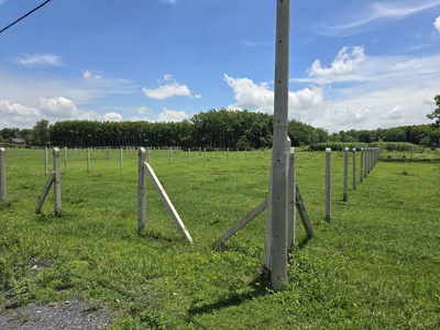 Vị trí đẹp - giá tốt - cần bán lô đất cln tại tổ 19, ấp cây sộp, tân an hội, huyện củ chi, hcm 3