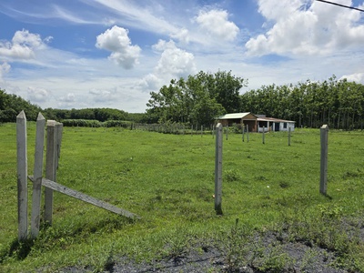 Vị trí đẹp - giá tốt - cần bán lô đất cln tại tổ 19, ấp cây sộp, tân an hội, huyện củ chi, hcm 4