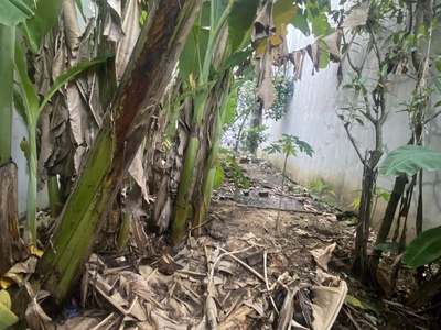 Bán đất phú hữu 56m2   đường xe hơi   nhỉnh 3.8 tỷ 2