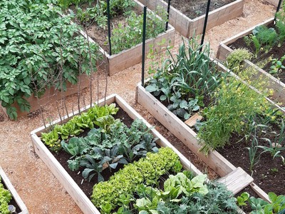 Giảm sốc 2 tỷ - biệt thự savimex quận 7  mặt tiền - giá hiếm 18,8 tỷ 1