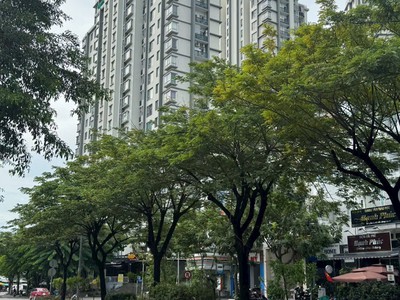 Rẻ hơn thị trường 2 tỷ   nhà liền kề phú mỹ hưng  kdc phú mỹ vạn phát hưng q7  giá chỉ 21,5 tỷ  còn 0