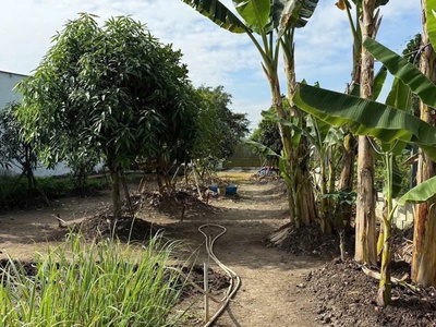 Sát vinhomes hóc môn   nhà vườn thổ cư   giá hời hiếm có - rẻ hơn củ chi 3