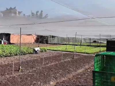 Ccg đất tân hiệp hóc môn sát cạnh khu biệt thự giá chỉ 10tr/m 4