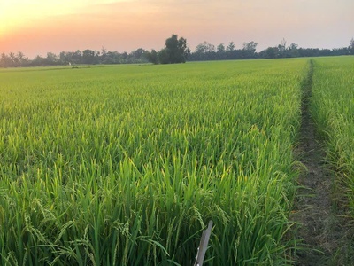 Hot hot - cần bán lô đất tại xã tân nhựt, bình chánh, hcm xã tân nhựt, tp.hcm mới 1