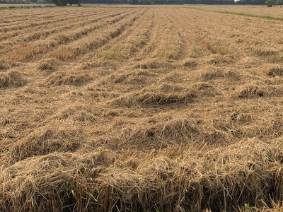 Hot hot - cần bán lô đất tại xã tân nhựt, bình chánh, hcm xã tân nhựt, tp.hcm mới 2