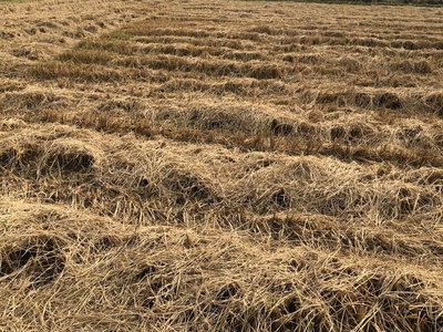 Hot hot - cần bán lô đất tại xã tân nhựt, bình chánh, hcm xã tân nhựt, tp.hcm mới 4