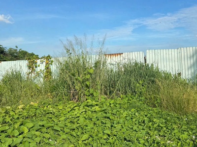 Siêu quỹ đất mặt tiền rạch vườn lài   an phú đông q12   gần 3.800m 4