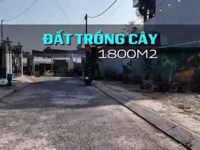 Ccg đất tân hiệp hóc môn sát cạnh khu biệt thự giá chỉ 10tr/m 3