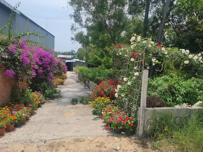 đắt phú quốc giá đầu tư, giao dịch trực tiếp với chính chủ