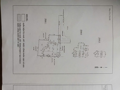 Siêu phẩm biệt thự vườn 1.000m đông hưng thuận, q12 0