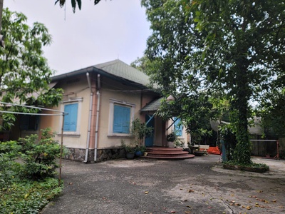 Biệt thự 800m trần văn mười giá ngộp chỉ 10,5 tỷ giảm sâu 0