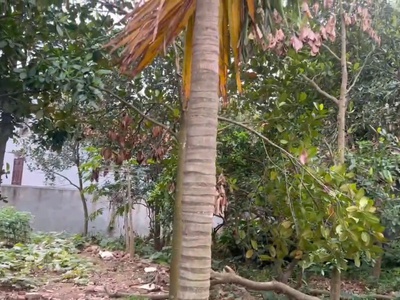 Bán gấp 180m đất thôn 4, thạch đà, mê linh, hà nội. đất ở 100. cách chợ thạch đà 1,4km 1