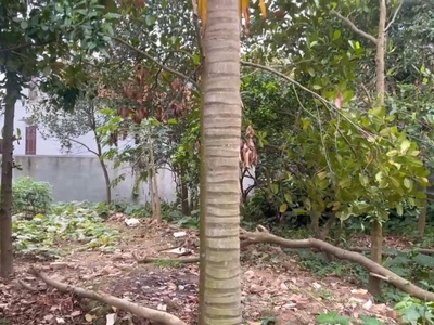 Bán gấp 180m đất thôn 4, thạch đà, mê linh, hà nội. đất ở 100. cách chợ thạch đà 1,4km 2