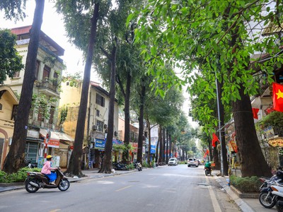 23.02.23.3. bán nhà mặt phố quận hai bà trưng cũ, giá chỉ 125 triệu/m2, diện tích 117,2m2 0