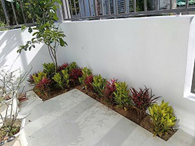 Bán gấp nhà kiệt quảng tế tp huế 1