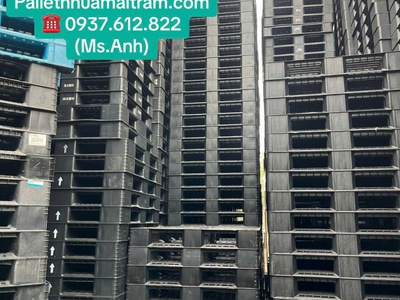  Phân Phối Pallet Nhựa Giá Rẻ Tại Thủ Dầu Một   Bao Vận Chuyển Tận Nơi   5