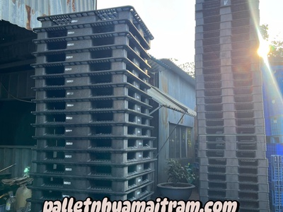  Phân Phối Pallet Nhựa Giá Rẻ Tại Thủ Dầu Một   Bao Vận Chuyển Tận Nơi   8