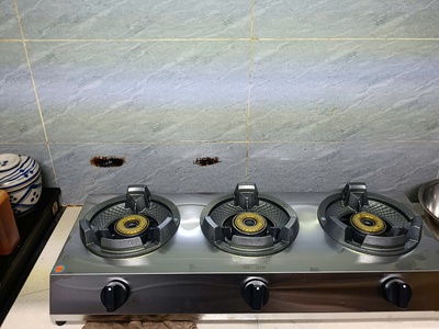 Bếp gas bán công nghiệp Bluestar BS-03SK 3