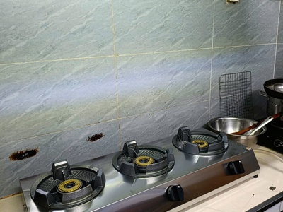 Bếp gas bán công nghiệp Bluestar BS-03SK 2