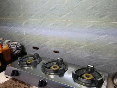 Bếp gas bán công nghiệp Bluestar BS-03SK 1