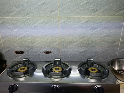 Bếp gas bán công nghiệp Bluestar BS-03SK 0