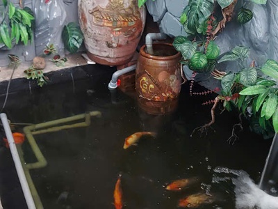 Bán nhà - Chủ nhà đăng tin 1