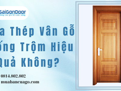 Cửa Thép Vân Gỗ Chống Trộm Hiệu Quả Không 1