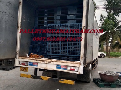  Phân Phối Pallet Nhựa Kê Kho Chất Lượng   Giá Rẻ Tại Đức Trọng 0
