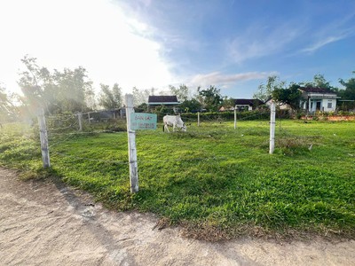 Đất đẹp   giá tốt   chính chủ cần bán tại thôn bỉnh đức xã tây vinh, tây sơn, bình định 2