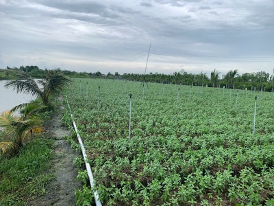 Đất nền biển tân thành    ưu đãi cực khủng đến 20. 4