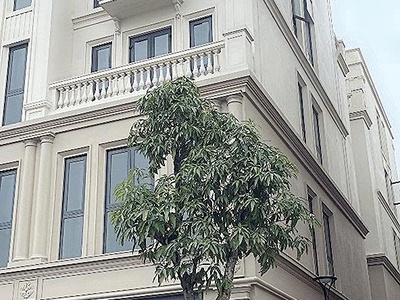 Bán liền kề xẻ khe 75m    phân khu tinh hoa, vinhomes global gate cổ loa, đông anh, hà nội 1