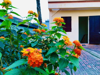 Cho thuê nhà số 5A, ngõ 175 đường Chiến Thắng, Văn Quán, Hà Đông 1