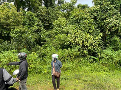 Bán 1.8ha đất nông nghiệp   có sẵn dòng tiền 500tr/năm 0