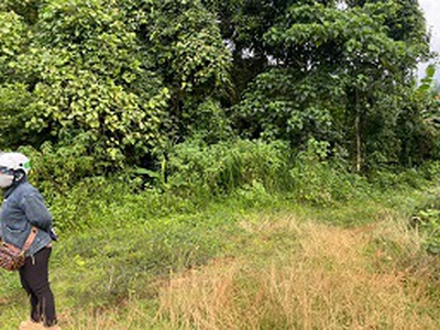 Bán 1.8ha đất nông nghiệp   có sẵn dòng tiền 500tr/năm 2