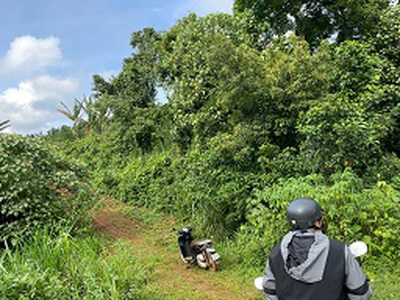 Bán 1.8ha đất nông nghiệp   có sẵn dòng tiền 500tr/năm 3