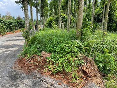 Bán đất nông nghiệp 3 mặt tiền   vị trí đẹp gần hồ kim long 2