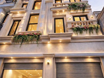 Hàng hiếm biệt thự phố hxh ngang 8m - gần trần trọng cung, q7 giá sốc 8,9 tỷ 1