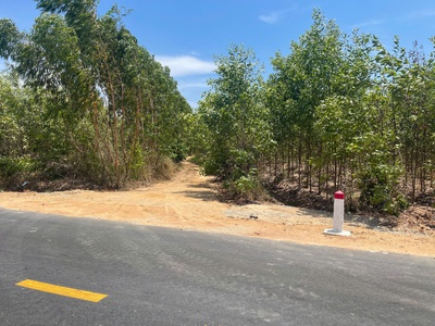 Bán 82m đất mặt tiền phạm thế hiển nối dài,lagi giá rẻ nhất 1tr/m2 1