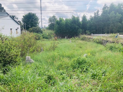 Bán 5m đất thổ cư đường quốc lộ 55, phước hội, lagi giá ngộp 1.3 tỷ 1