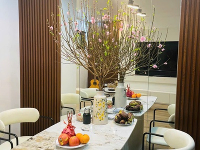 Căn hộ 2pn đẹp   trung tâm lạch tray, hải phòng   giá tốt 4