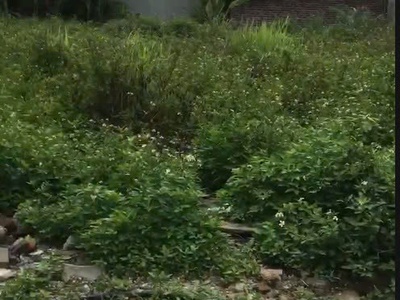 Cần bán đất thổ cư 1