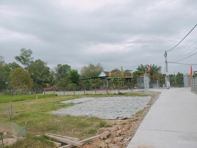 Chính chủ bán 113m2 đất full thổ cư oto tránh giá chỉ 450tr 3